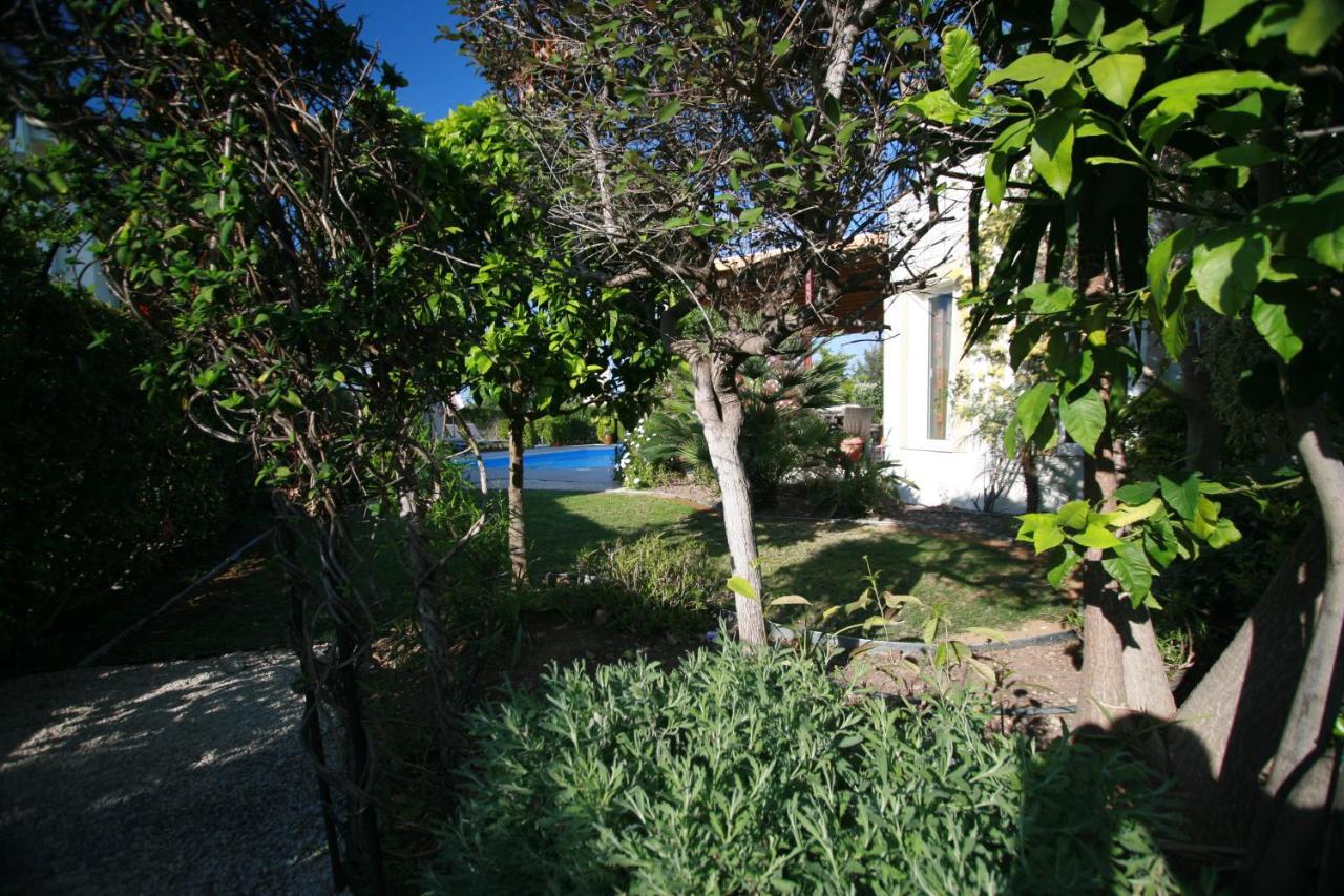 נאו חוריו Beach Villa Sofia מראה חיצוני תמונה
