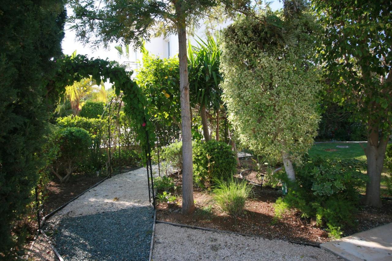 נאו חוריו Beach Villa Sofia מראה חיצוני תמונה
