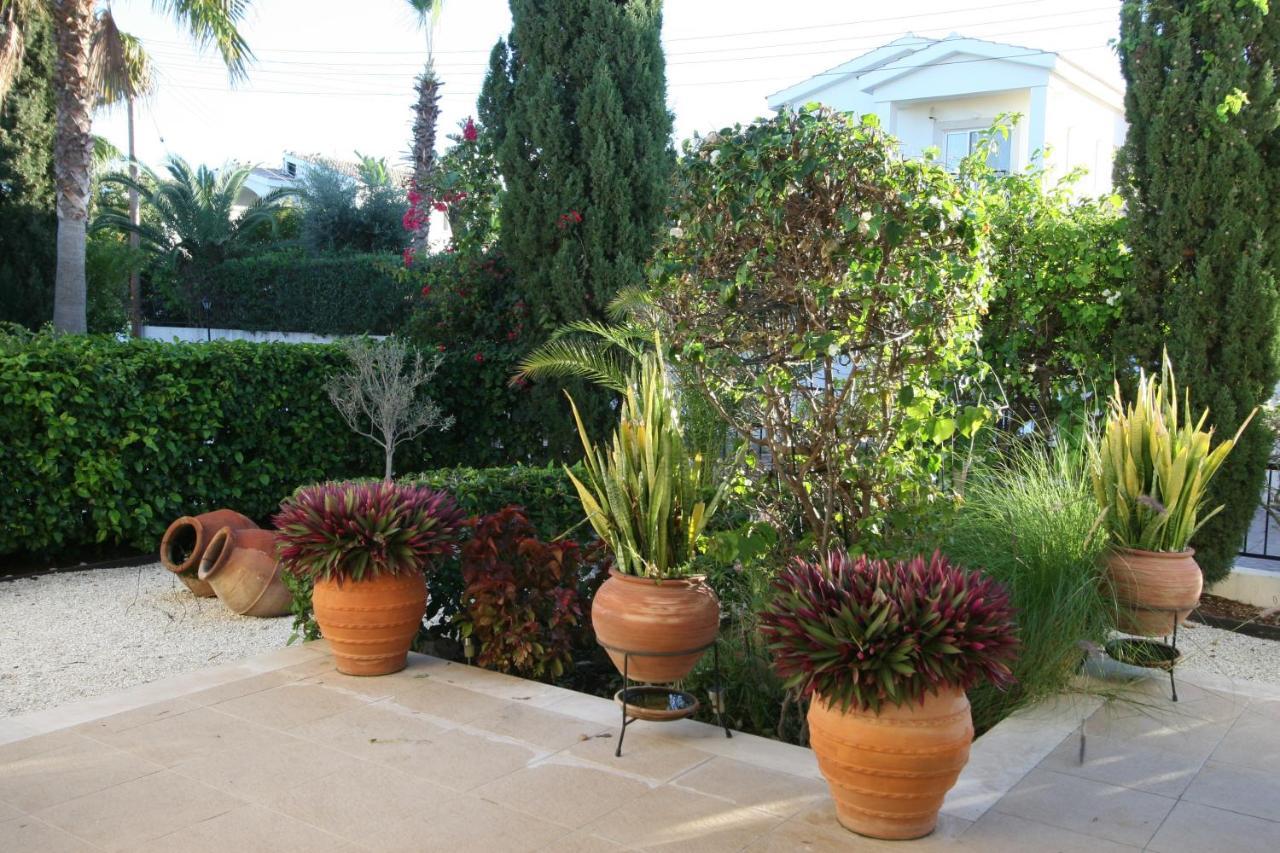 נאו חוריו Beach Villa Sofia מראה חיצוני תמונה
