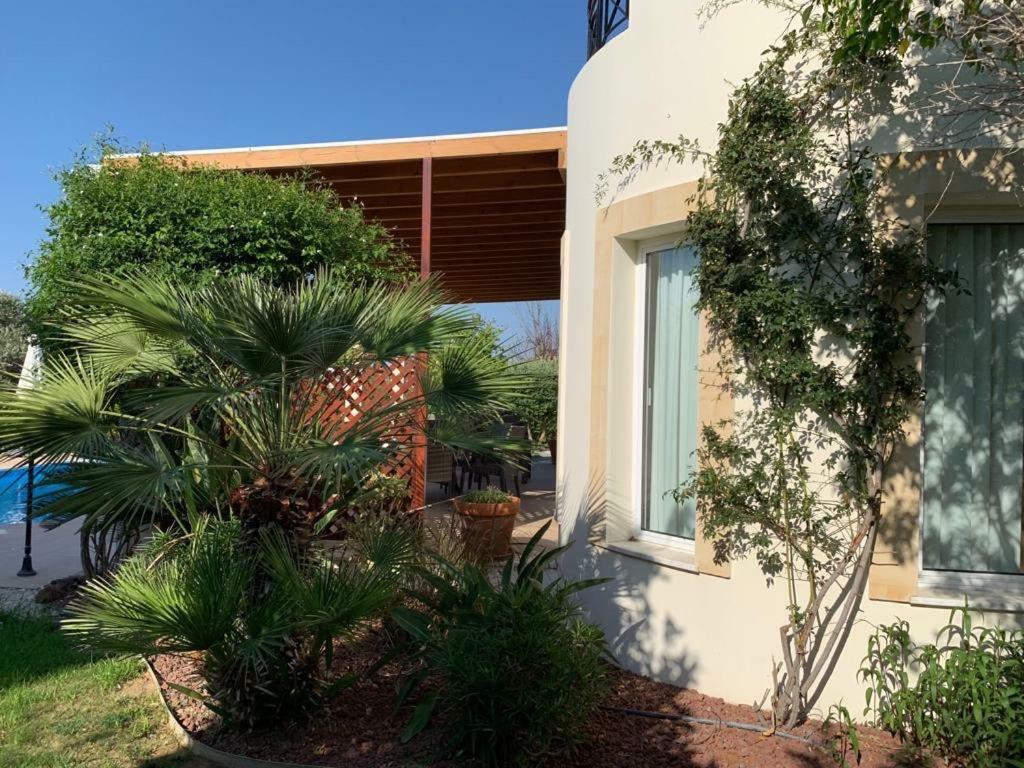 נאו חוריו Beach Villa Sofia מראה חיצוני תמונה